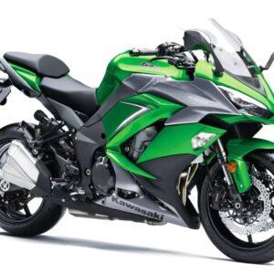 Cruise Control for Kawasaki Ninja 1000 2017 to 2019 (ZX1000W) servo